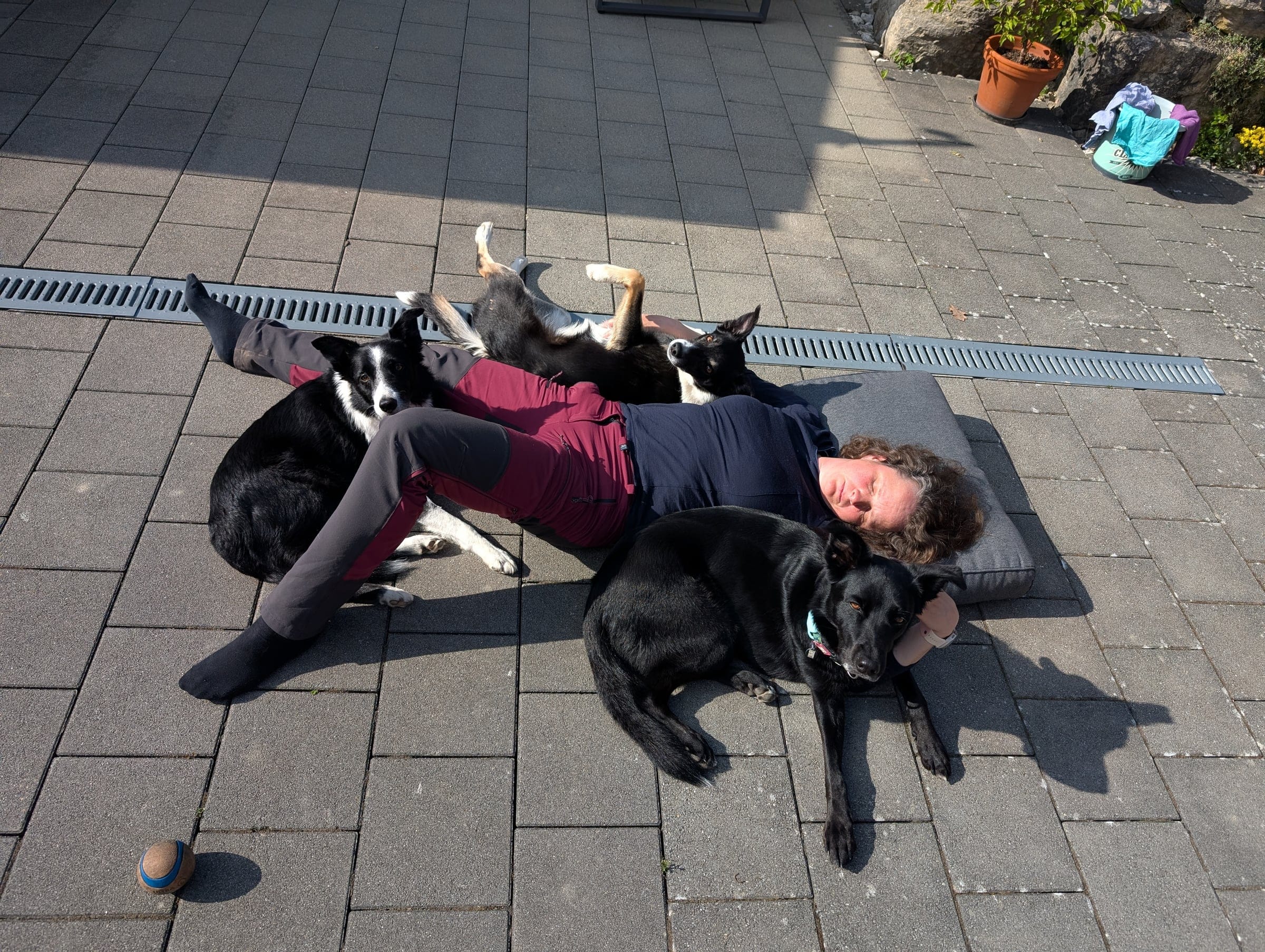 Caro liegt entspannt mit drei Hunden auf der Terrasse — Morlu, Capraia und ein Kunden-Hund.