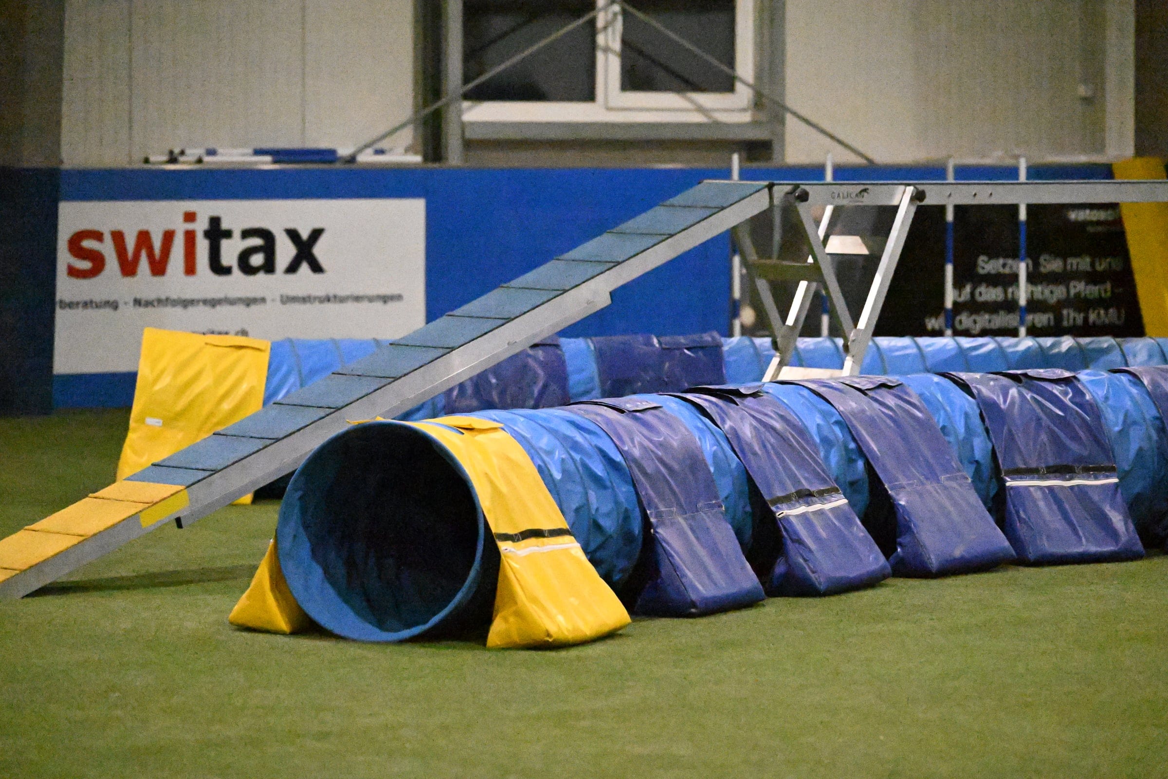 Agility-Halle in Aarwangen — Kontaktzonen-Steg, gelber Tunnel, Hindernis-Aufbau.