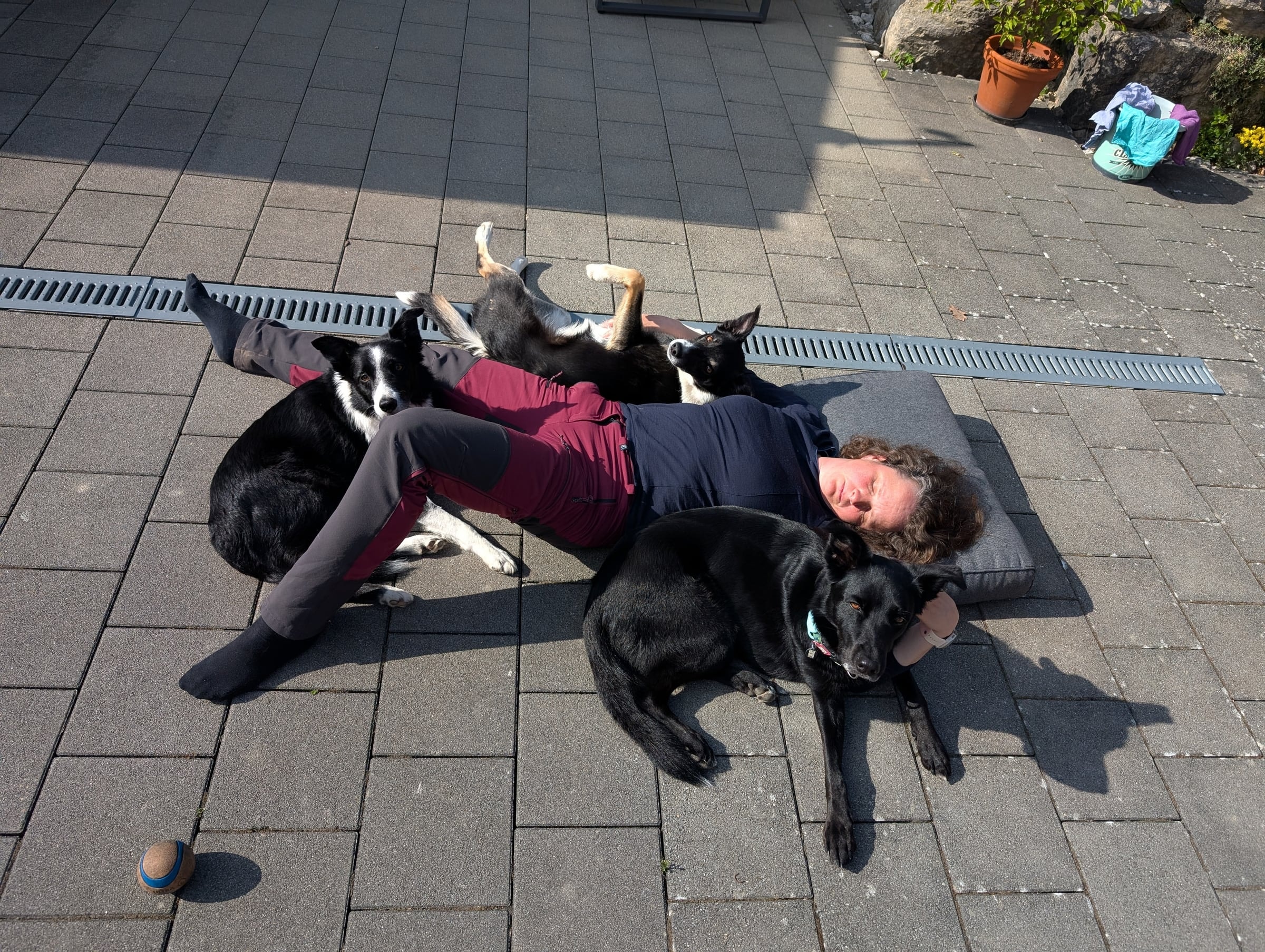 Caro entspannt mit drei Hunden auf der Terrasse